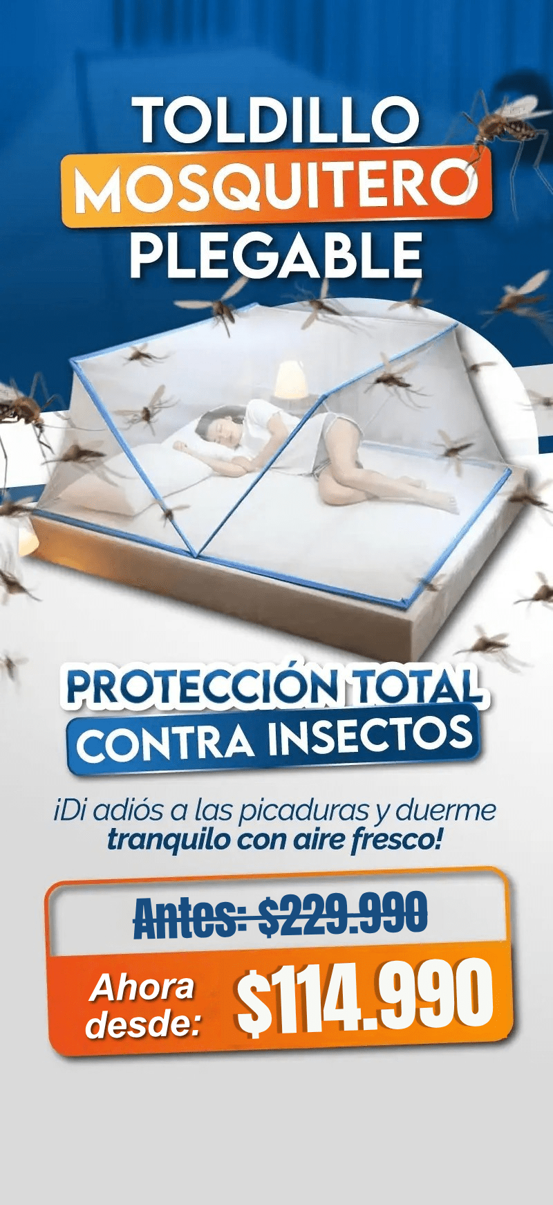 Todillo Mosquitero Plegable